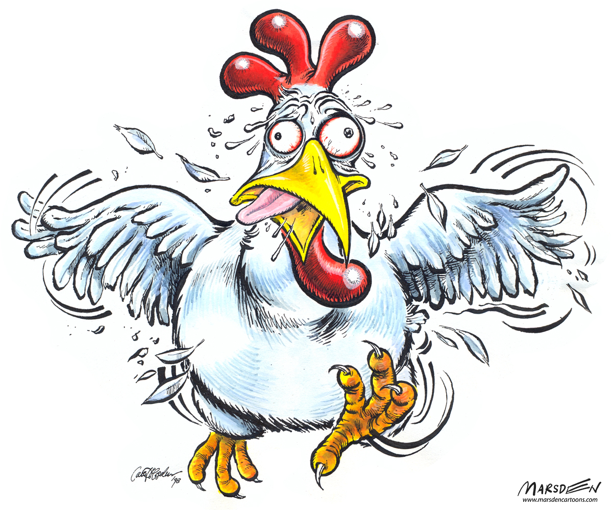 scared chicken clipart free - photo #12